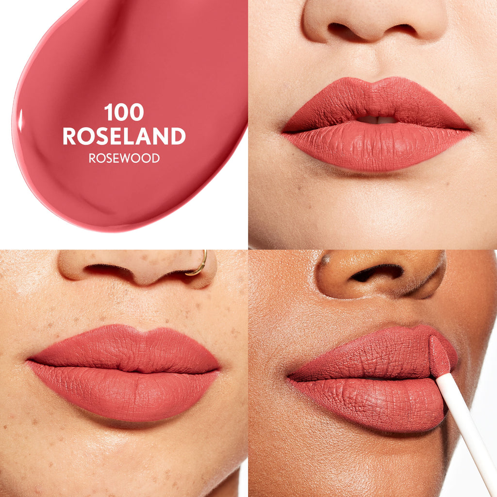 COVERGIRL Outlast Forever Velvet Pigment Matte Lipstick, 100 Roseland, 0.3 fl oz