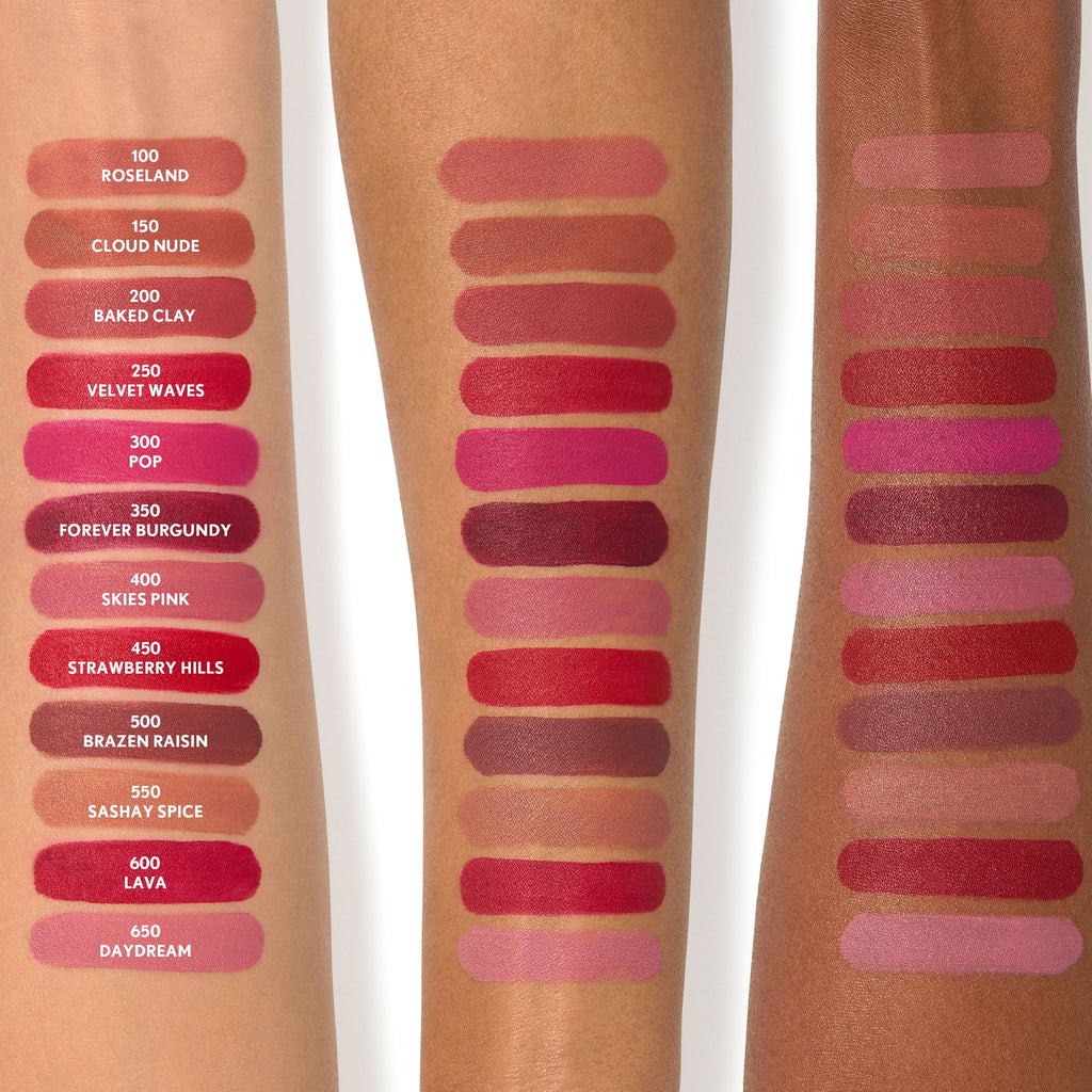 COVERGIRL Outlast Forever Velvet Pigment Matte Lipstick, 200 Baked Clay, 0.3 fl oz